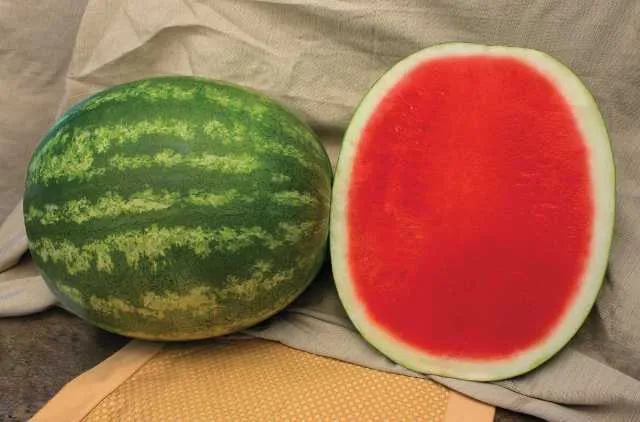 Watermelon