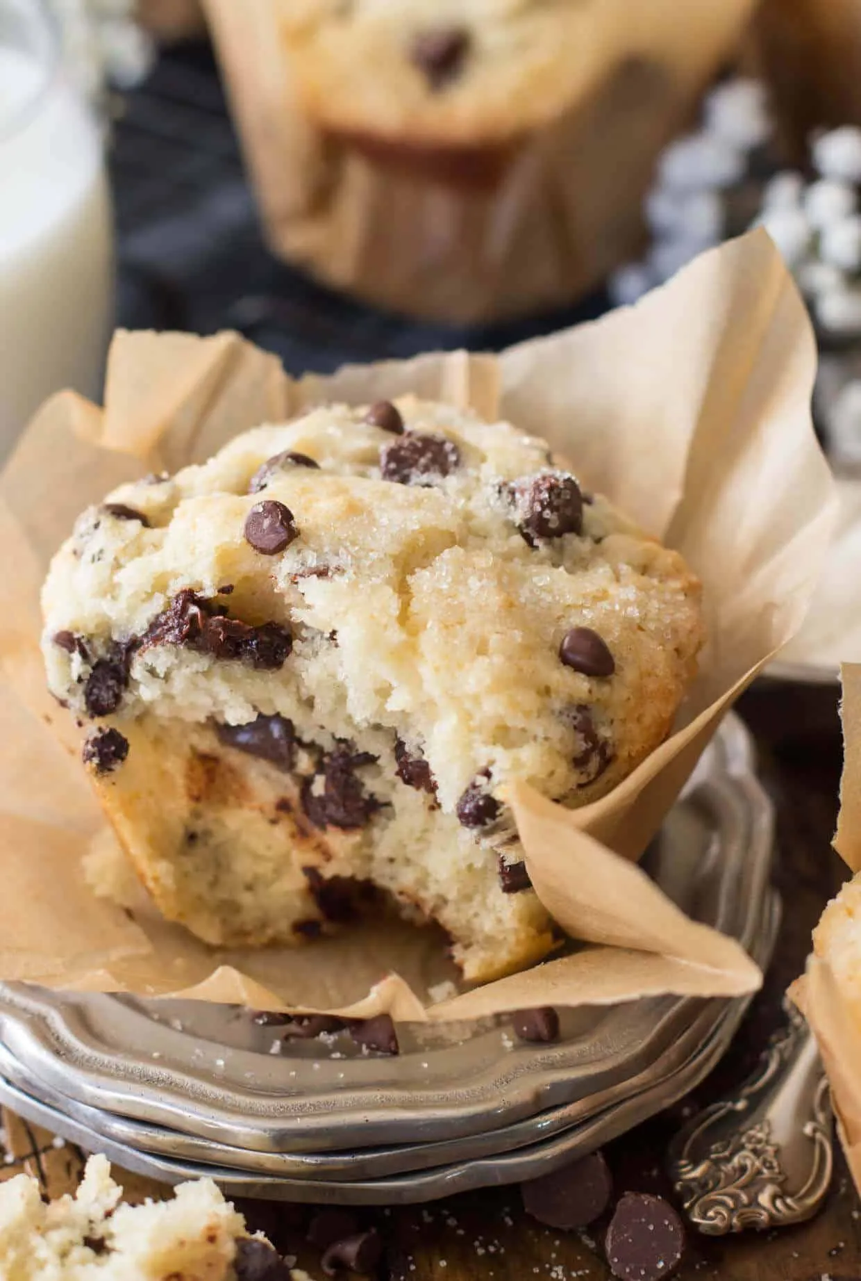 Gourmet Chocolate Chip Muffin
