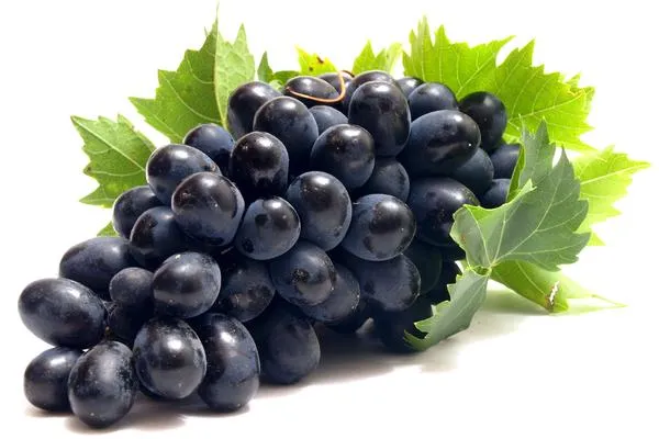 Black Grape