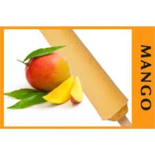 Shahi Kulfi Mango Flavor